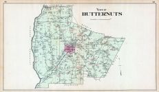 Butternuts Town, Otsego County 1903